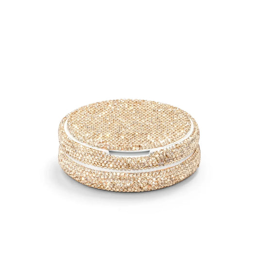 Champagne Gold Portable Case Pouch Container