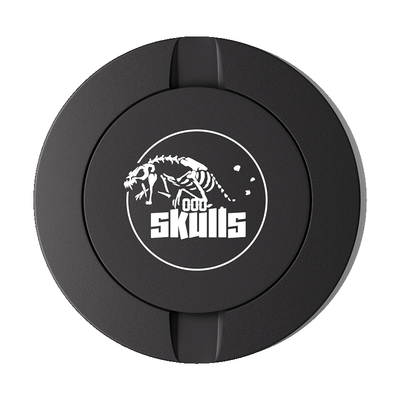 Skulls Design Black Metal Two-Tie Container Cans