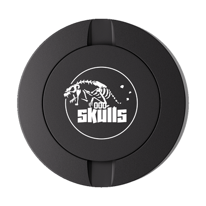 Skulls Design Black Metal Two-Tie Container Cans