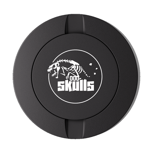 Skulls Design Black Metal Two-Tie Container Cans