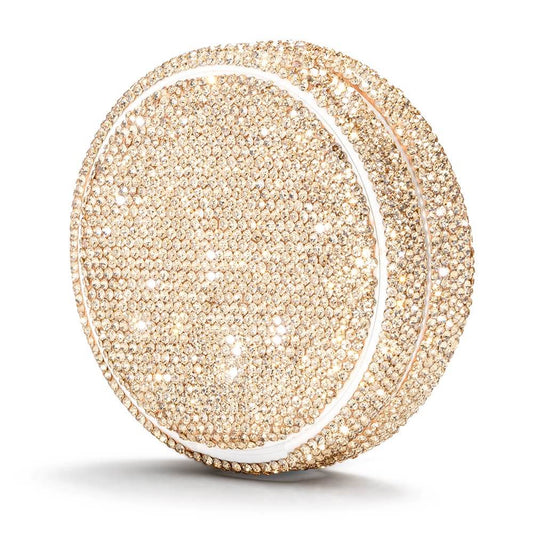 Champagne Gold Portable Case Pouch Container